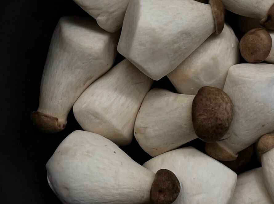 Гливи королівські в сковороді — продукти для харчування по фазах циклу